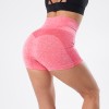 Women Seamless Shorts High Waist Fitness Shorts Slim Workout Short Pants