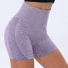 Women Seamless Shorts High Waist Fitness Shorts Slim Workout Short Pants