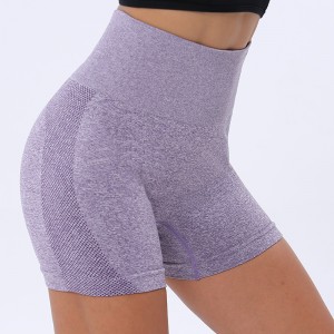 Women Seamless Shorts High Waist Fitness Shorts Slim Workout Short Pants