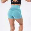 Women Seamless Shorts High Waist Fitness Shorts Slim Workout Short Pants