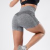 Women Seamless Shorts High Waist Fitness Shorts Slim Workout Short Pants