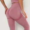 High Waist Seamless Leggings Sport Women Fitness Running Gym Pants 