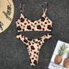 Snakeskin Bikini suit Women Leopard Sexy Biquini Swimsuit Beachwear