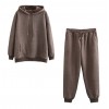 Winter Women tracksuit thick fleece 100% cotton suit 2 pieces sets hoodies sweatshirt 