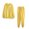 Winter Women tracksuit thick fleece 100% cotton suit 2 pieces sets hoodies sweatshirt 