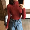 Thick Women Knitted Ribbed Pullover Sweater Long Sleeve Turtleneck Jumper 