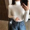 Thick Women Knitted Ribbed Pullover Sweater Long Sleeve Turtleneck Jumper 