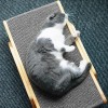 Wooden Cat Scratcher Scraper Detachable Lounge Bed Scratching Post For Cats Training Grinding Claw Toys Cat Scratch Board